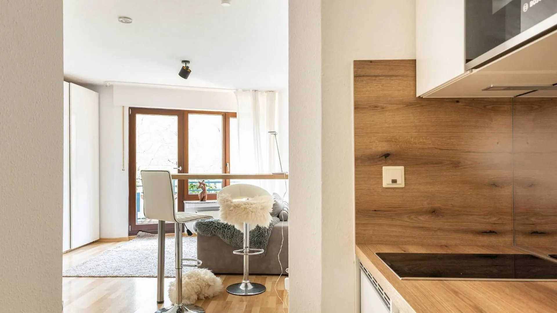 Elegant Studio Apartment In Dusseldorf Ludenberg Germany